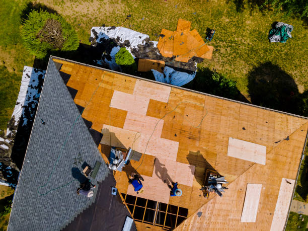 Best Roof Maintenance Services  in Alma, AR
