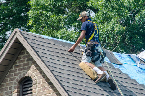 Best Metal Roofing Contractor  in Alma, AR